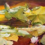 Golden Pond
36" x 60"
Watercolor on Aquabord
$5000